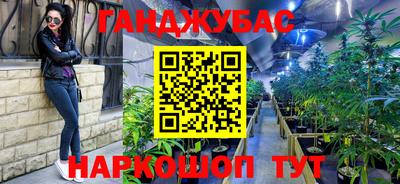 амф Бердск