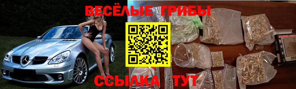 Галлюциногенные грибы ЛСД Великие Луки