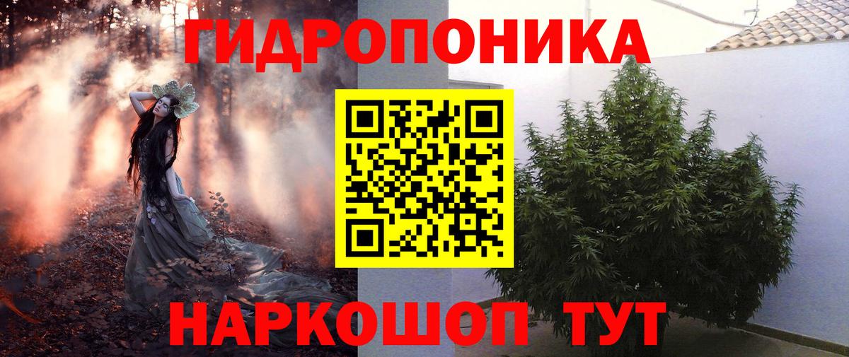Шишки марихуана план  Бошки Шишки сатива  Вход с VPN  Канабис семена  Великие Луки 